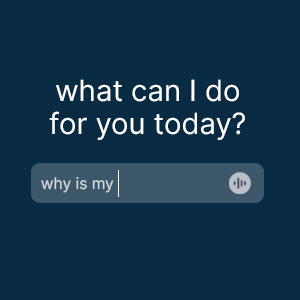 What can I do for you today?